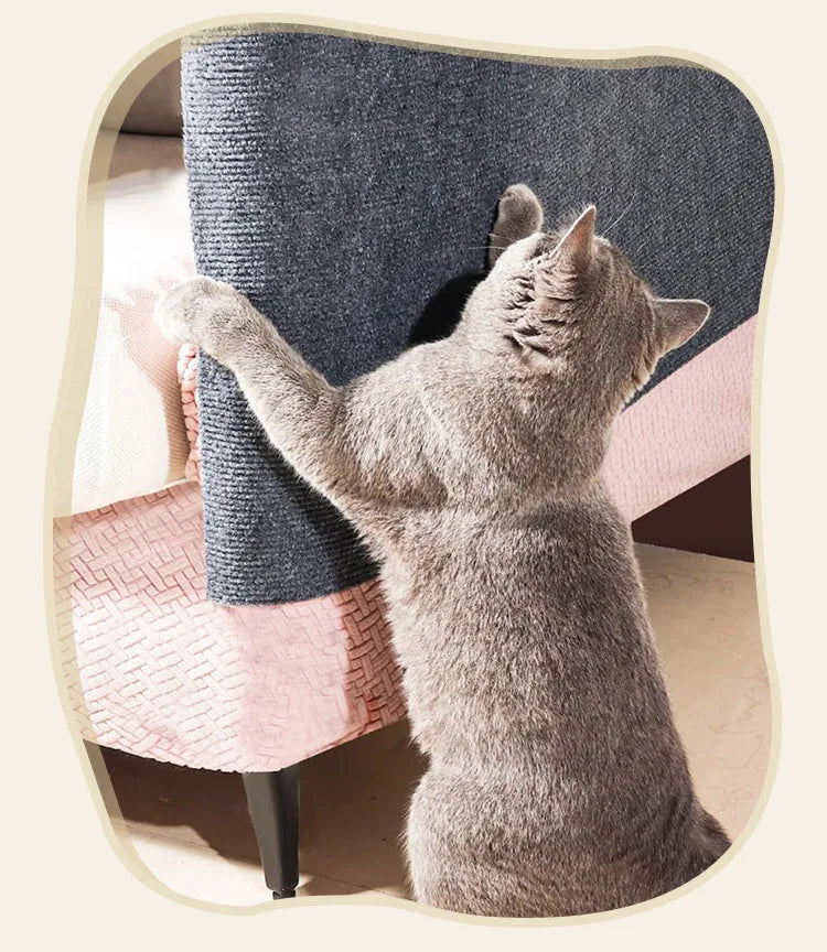 Auto-adesivo Cat Scratcher